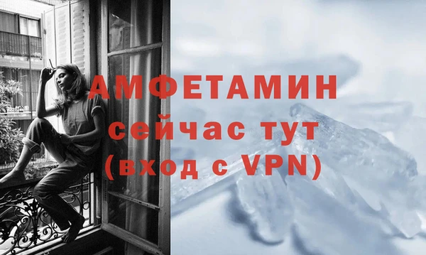 трава Бородино