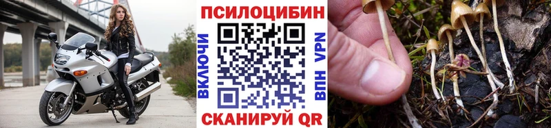 Псилоцибиновые грибы Psilocybine cubensis  даркнет формула  Рязань 